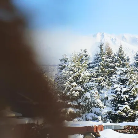 Semesterbostad Zrub Sova - - 3 Bedroom - 2 Bathroom Važec